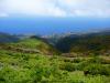 madeira_2013_-_257_-_madeira_t1.jpg