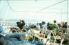 012_-_greece_to_crete_1983_t1.jpg