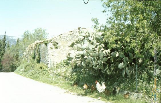 Corfu 1983